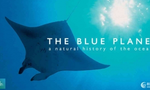BBC纪录片《蓝色星球》中英对照剧本字幕